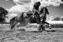 Rodeo, Marian Sasala