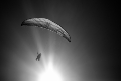 Tandem, Marian Sasala